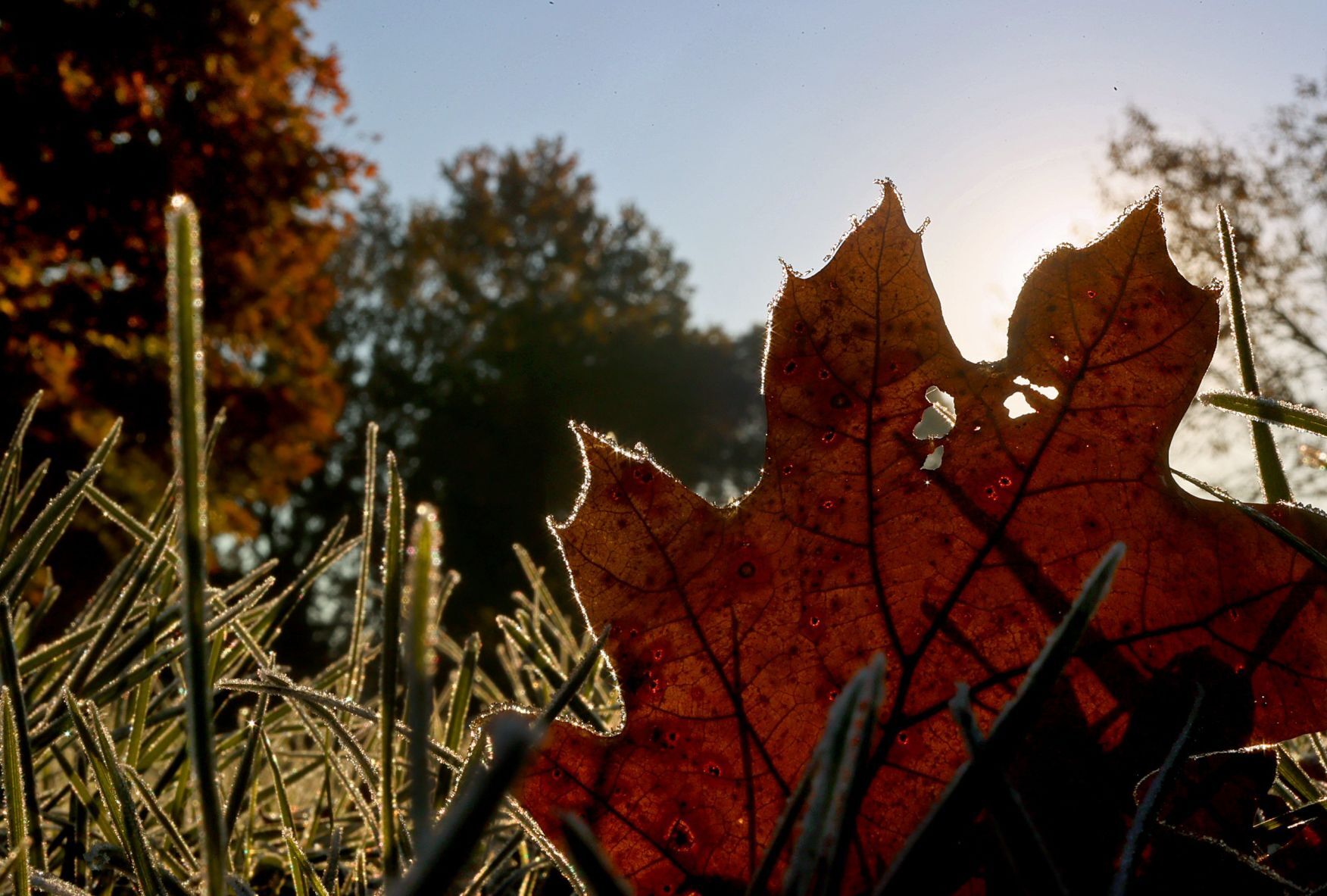 Morning frost fleeting as mid 50s afternoon to come